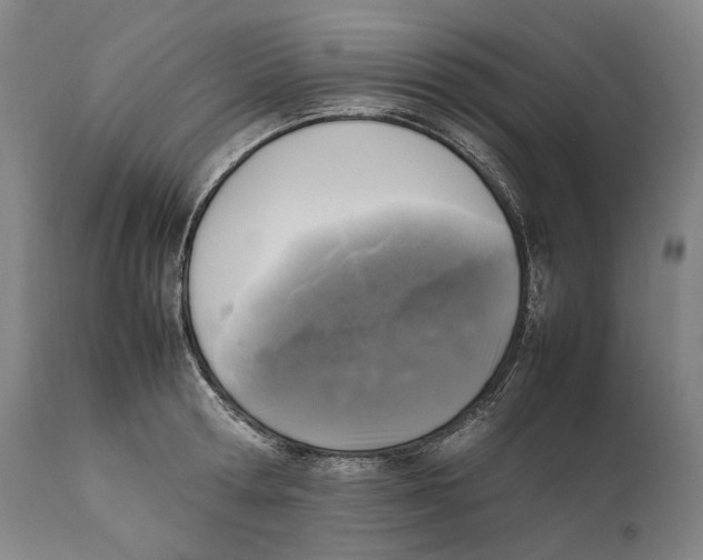 X0000111530802200908111224