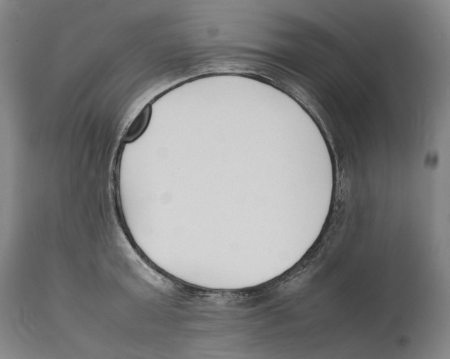 X0000111530803200908111224