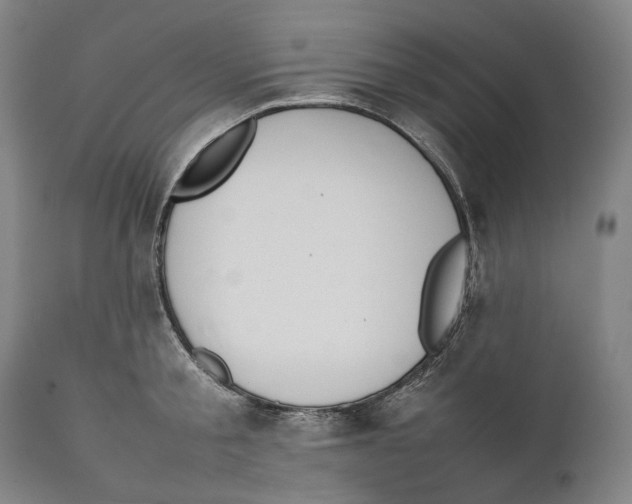 X0000111530805200908111224