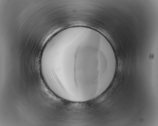 X0000111530806200908111224