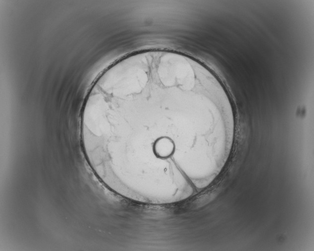 X0000111530807200908111224