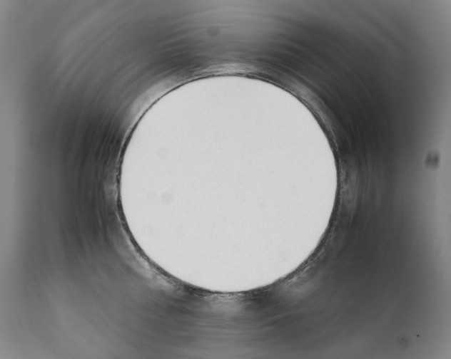 X0000111530810200908111224