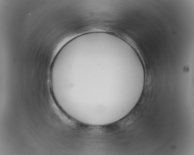 X0000111530811200908111224