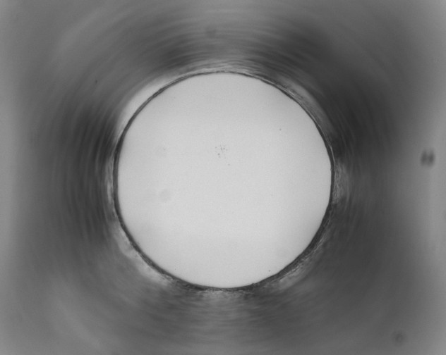 X0000111530812200908111224