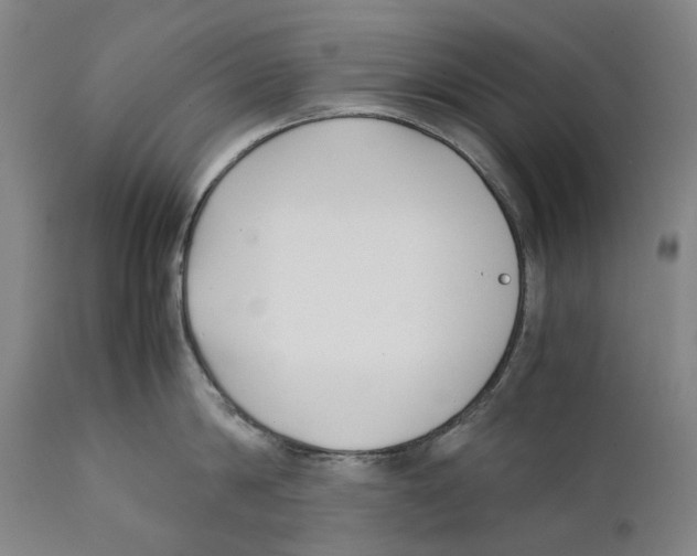 X0000111530814200908111224