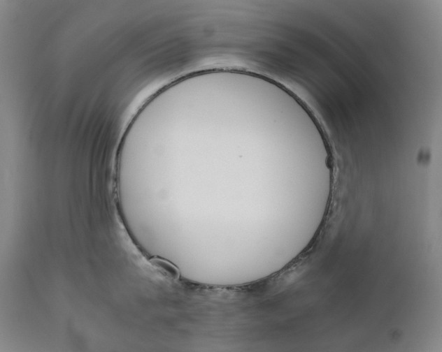 X0000111530815200908111224