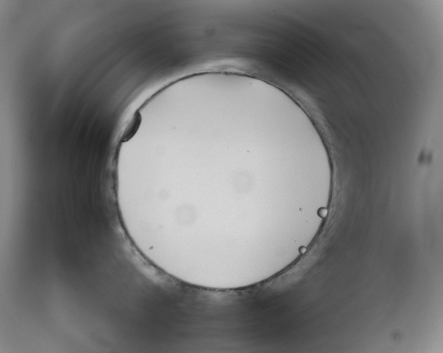 X0000111530816200908111224