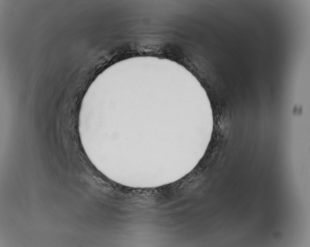 X0000111530817200908111224