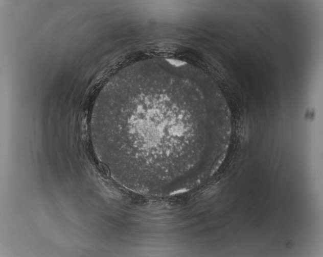 X0000111530818200908111224