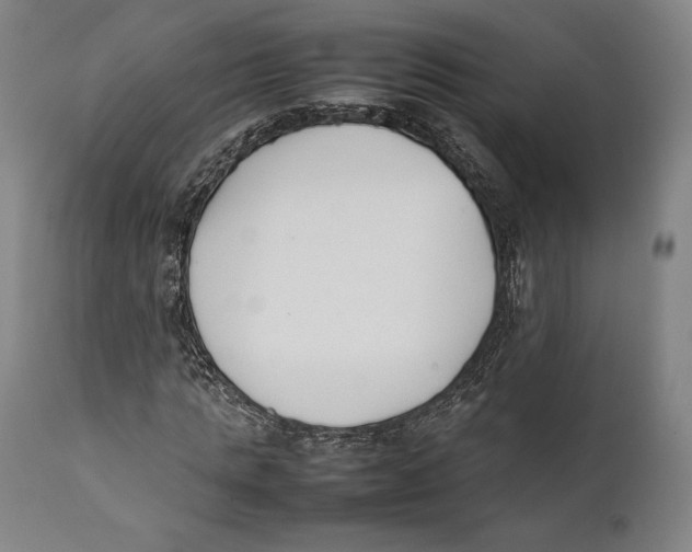 X0000111530821200908111224