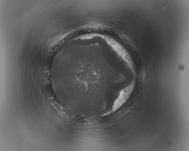 X0000111530822200908111224