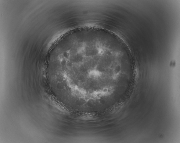 X0000111530823200908111224