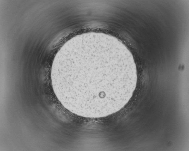 X0000111530824200908111224