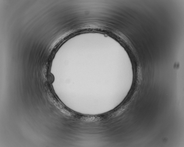 X0000111530826200908111224