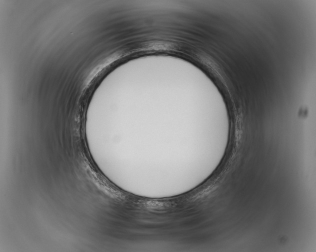 X0000111530827200908111224