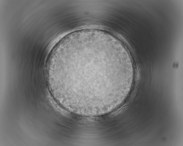 X0000111530828200908111224