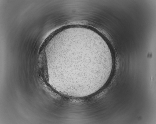 X0000111530830200908111224