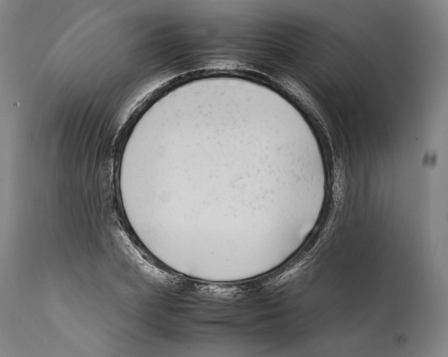 X0000111530831200908111224