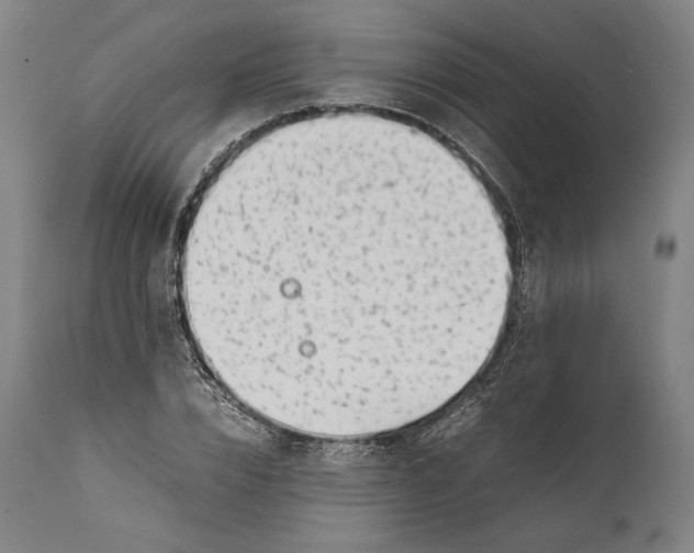 X0000111530832200908111224