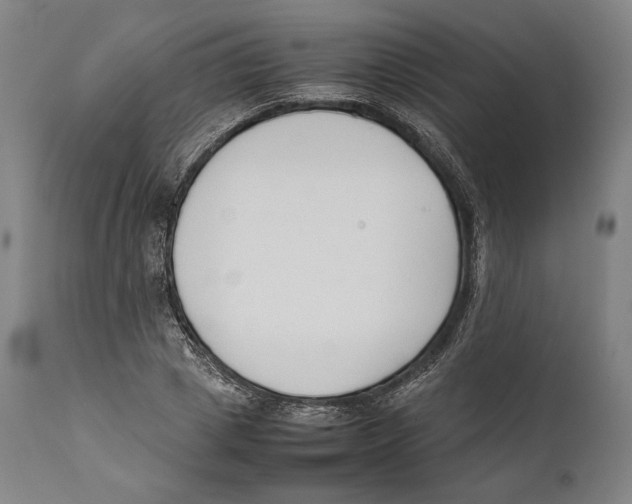 X0000111530833200908111224