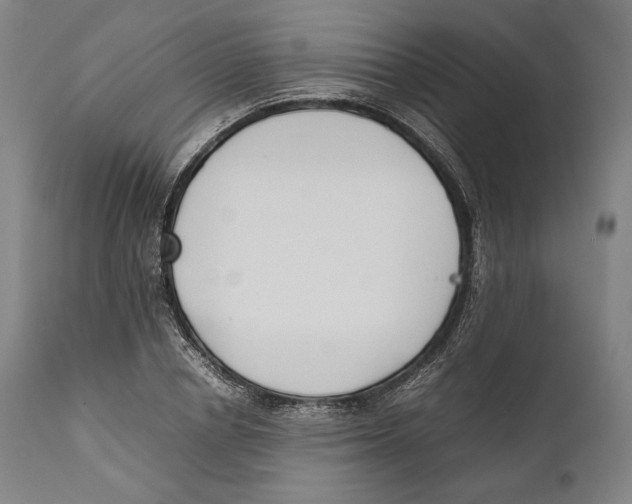 X0000111530834200908111224