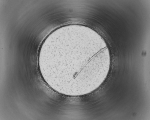 X0000111530836200908111224