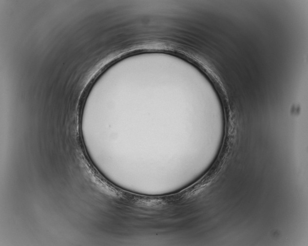 X0000111530837200908111224