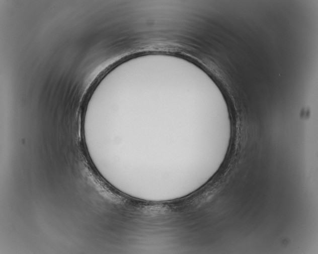 X0000111530838200908111224