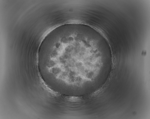 X0000111530839200908111224