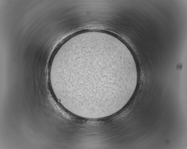 X0000111530840200908111224