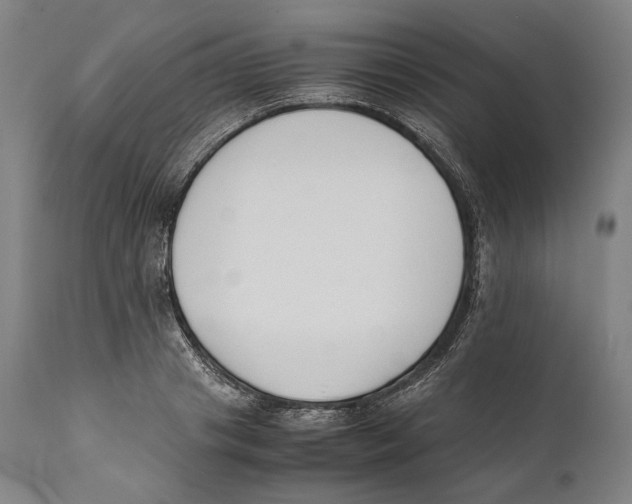 X0000111530841200908111224