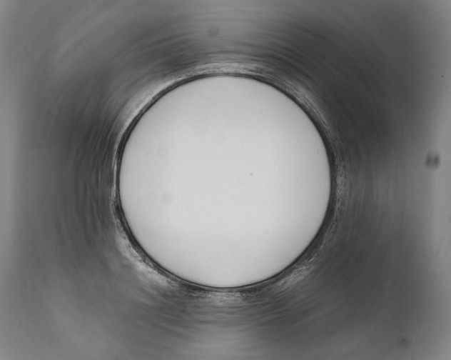 X0000111530844200908111224