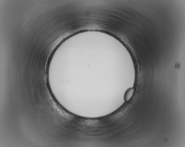 X0000111530845200908111224