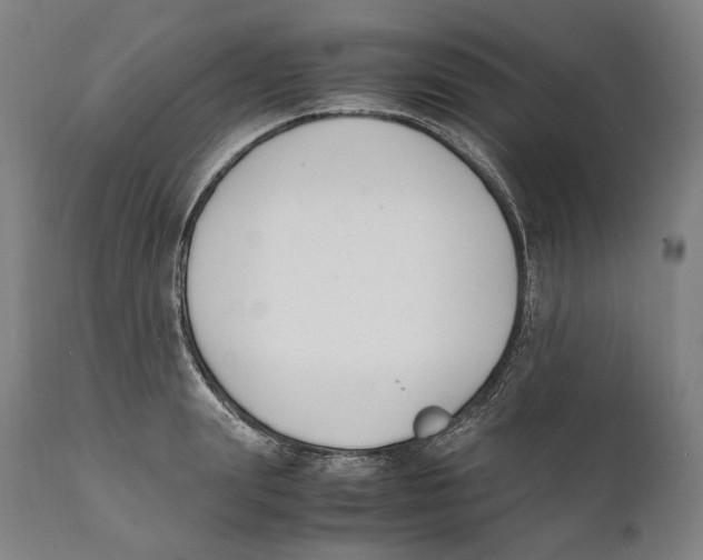 X0000111530847200908111224