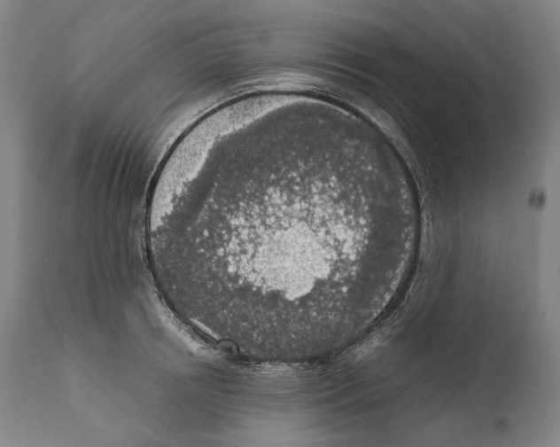 X0000111530850200908111224