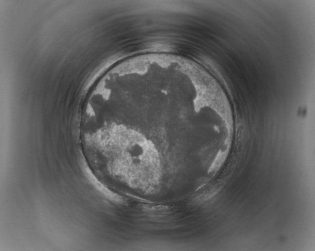 X0000111530851200908111224