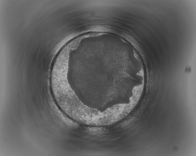 X0000111530853200908111224