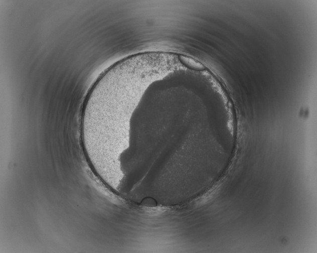 X0000111530854200908111224