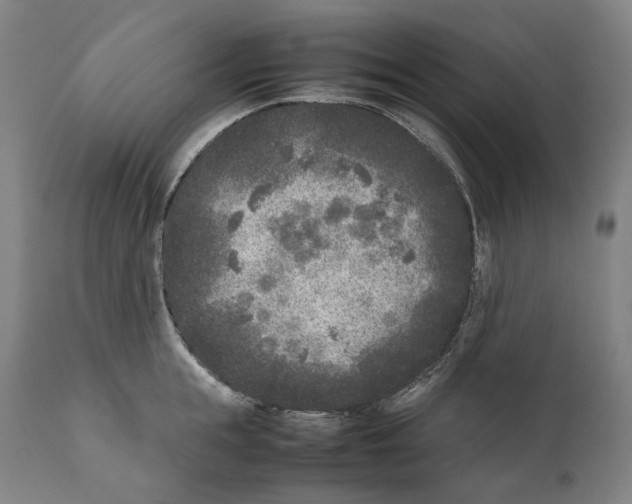 X0000111530855200908111224