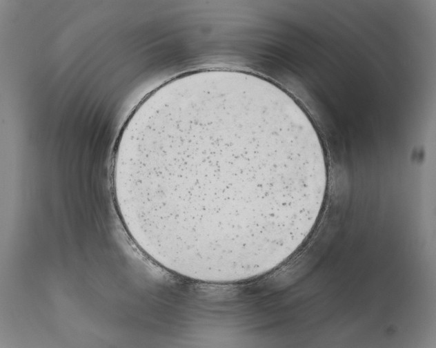 X0000111530856200908111224