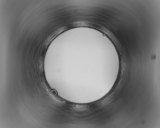 X0000111530857200908111224