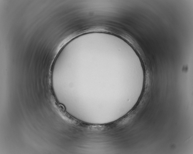 X0000111530858200908111224