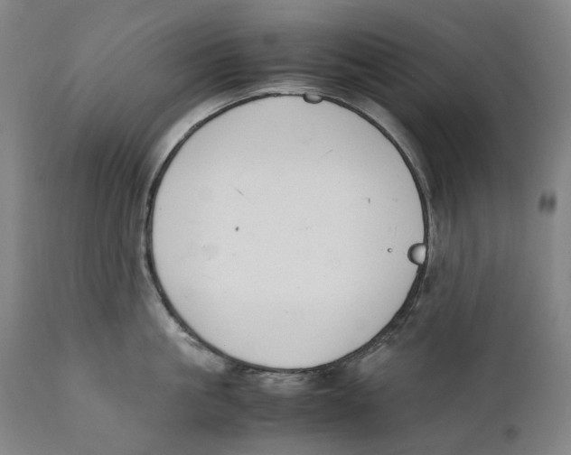 X0000111530861200908111224