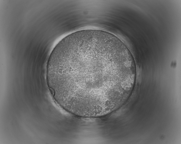 X0000111530862200908111224