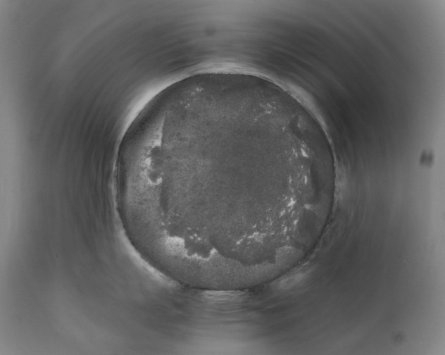 X0000111530863200908111224