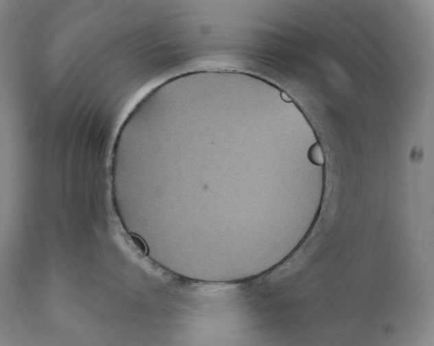 X0000111530864200908111224