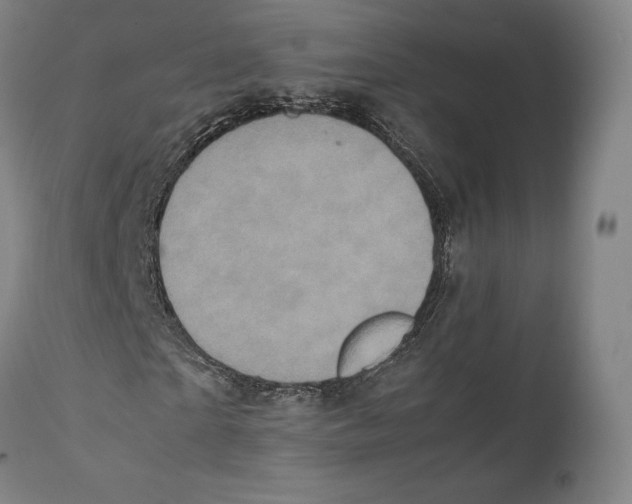 X0000111530865200908111224