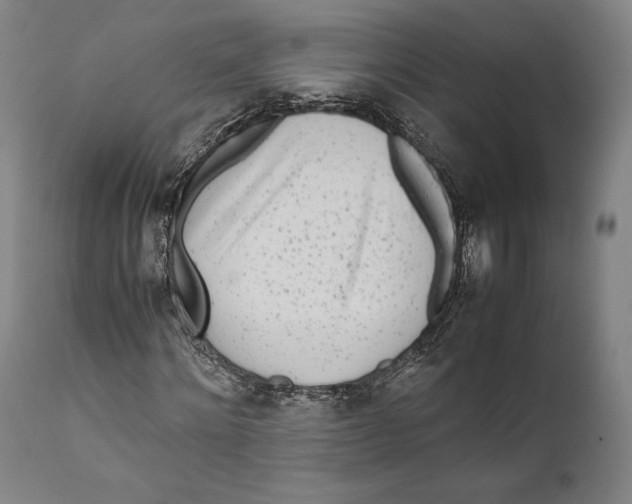 X0000111530868200908111223