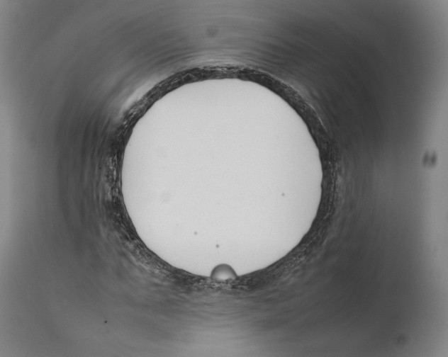 X0000111530871200908111223