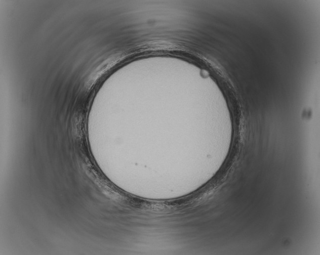 X0000111530873200908111223